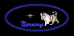 Available Puppies