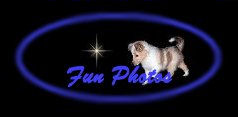 Fun Photos