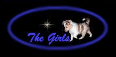 The Ladies